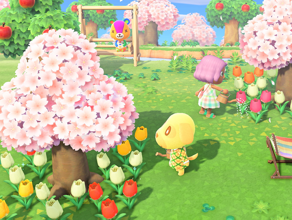 Animal Crossing: New Horizons